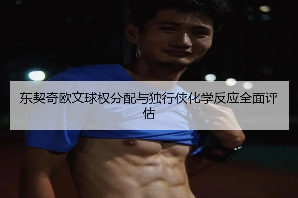 东契奇欧文球权分配与独行侠化学反应全面评估